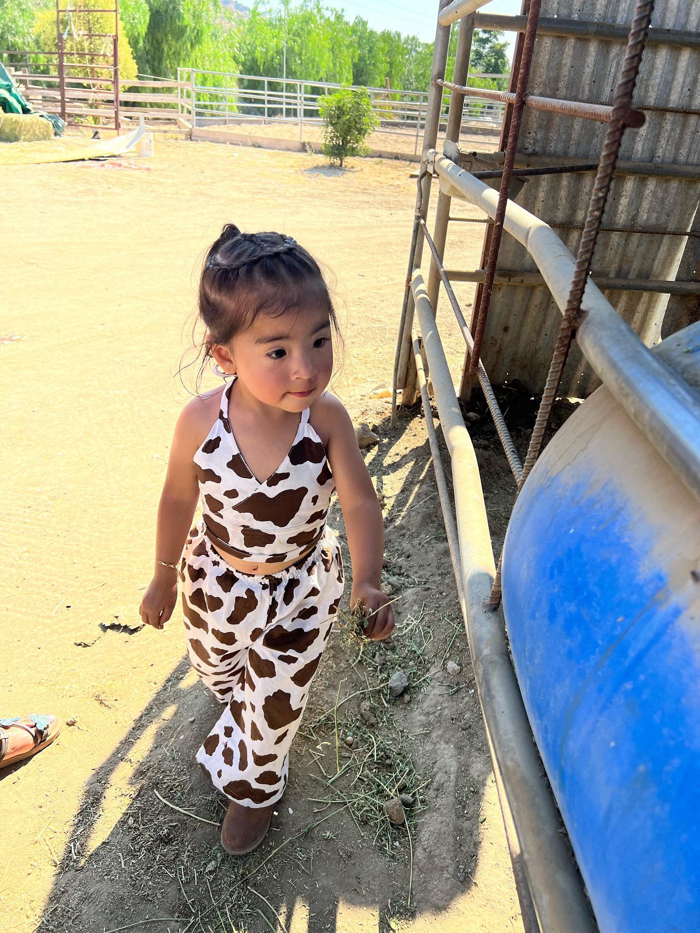 Cow Print Set